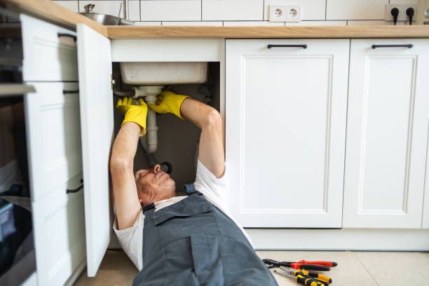 Best Local Plumber Services  in Royse City, TX