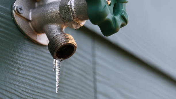 Best Drain Cleaning Services  in Royse City, TX